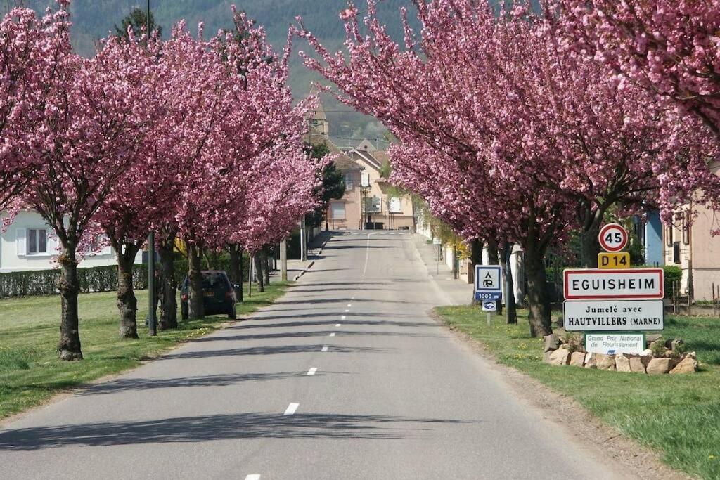 Gite A Eguisheim Proche De Colmar Et Kaysergberg. Dış mekan fotoğraf