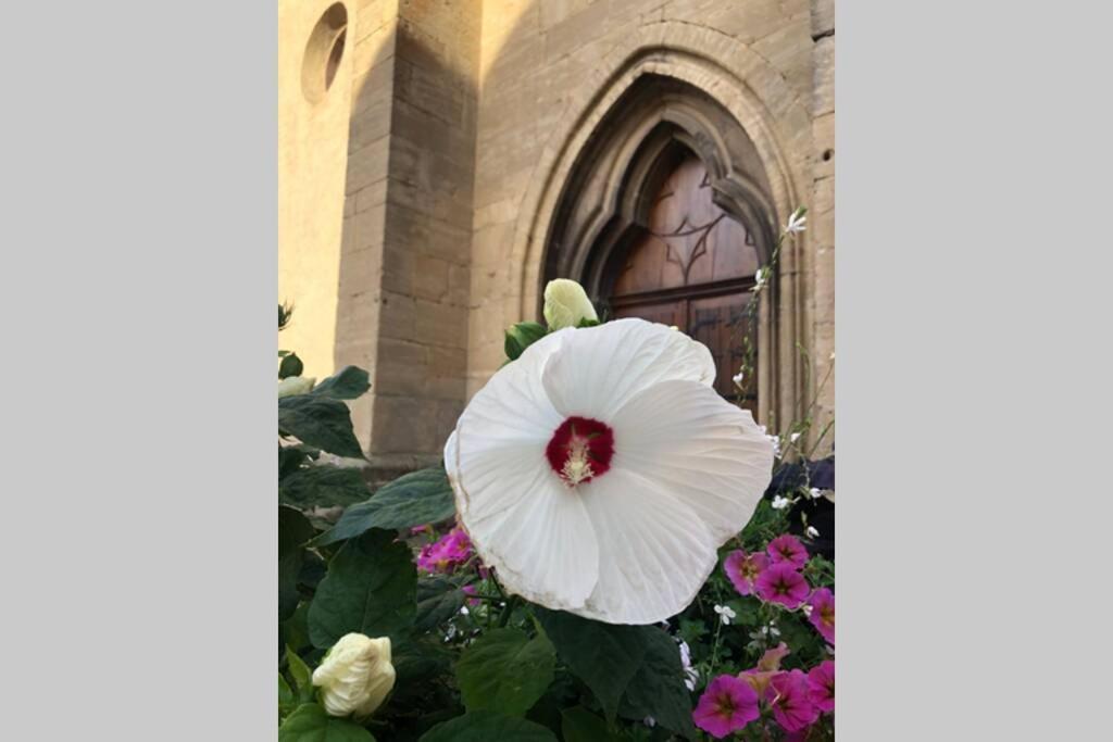 Gite A Eguisheim Proche De Colmar Et Kaysergberg. Dış mekan fotoğraf