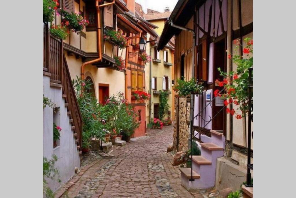 Gite A Eguisheim Proche De Colmar Et Kaysergberg. Dış mekan fotoğraf