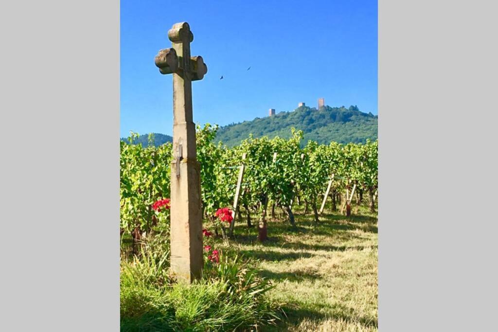 Gite A Eguisheim Proche De Colmar Et Kaysergberg. Dış mekan fotoğraf